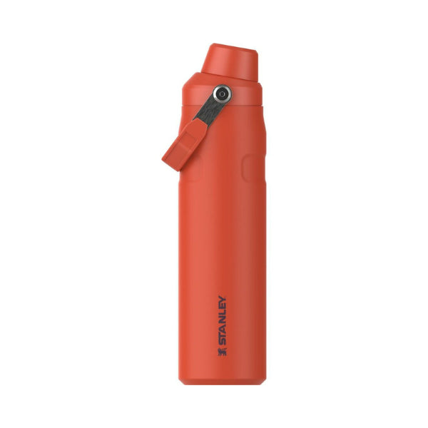 https://thermoz.nl/cdn/shop/files/Stanley-The-Aerolight_-IceFlow_-Water-Bottle-0.6L-Tigerlily-Plum-Thermoz.webp?v=1696439139