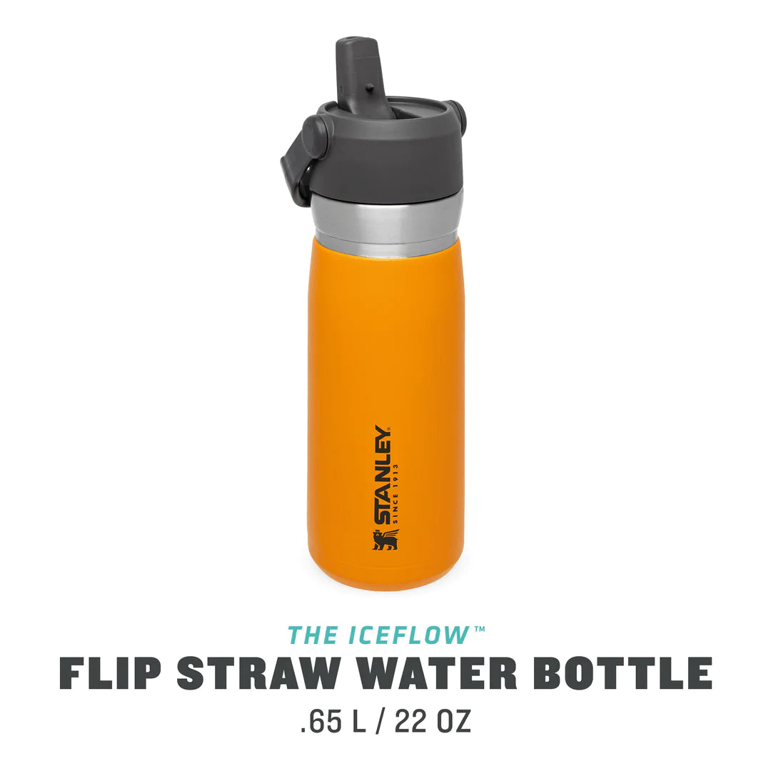 Stanley Go Flip Straw Water Bottle | 0.65L